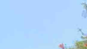 Bloque de apartamentos donde el sospechoso se atrincheró con un arma.