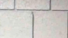 Sospechoso de 28 años arrestado por brutales asesinatos de cuatro estudiantes de la Universidad de Idaho