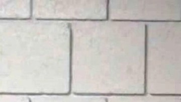 Sospechoso de 28 años arrestado por brutales asesinatos de cuatro estudiantes de la Universidad de Idaho