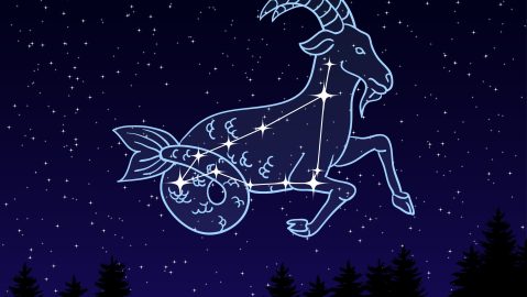 Signo de Capricornio