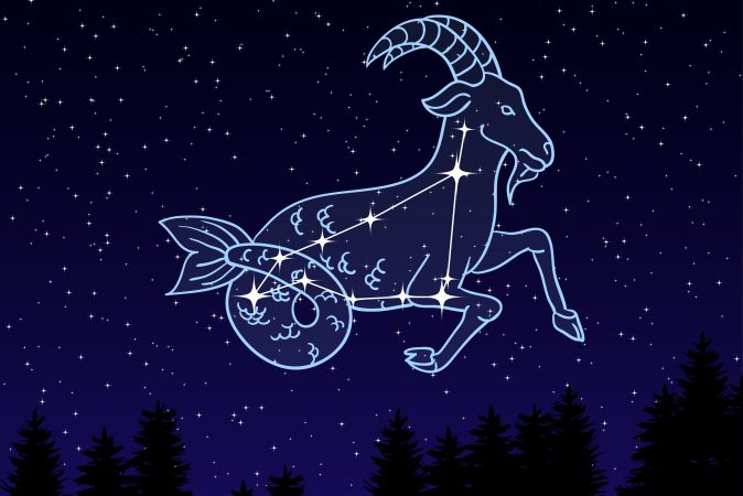 Signo de Capricornio
