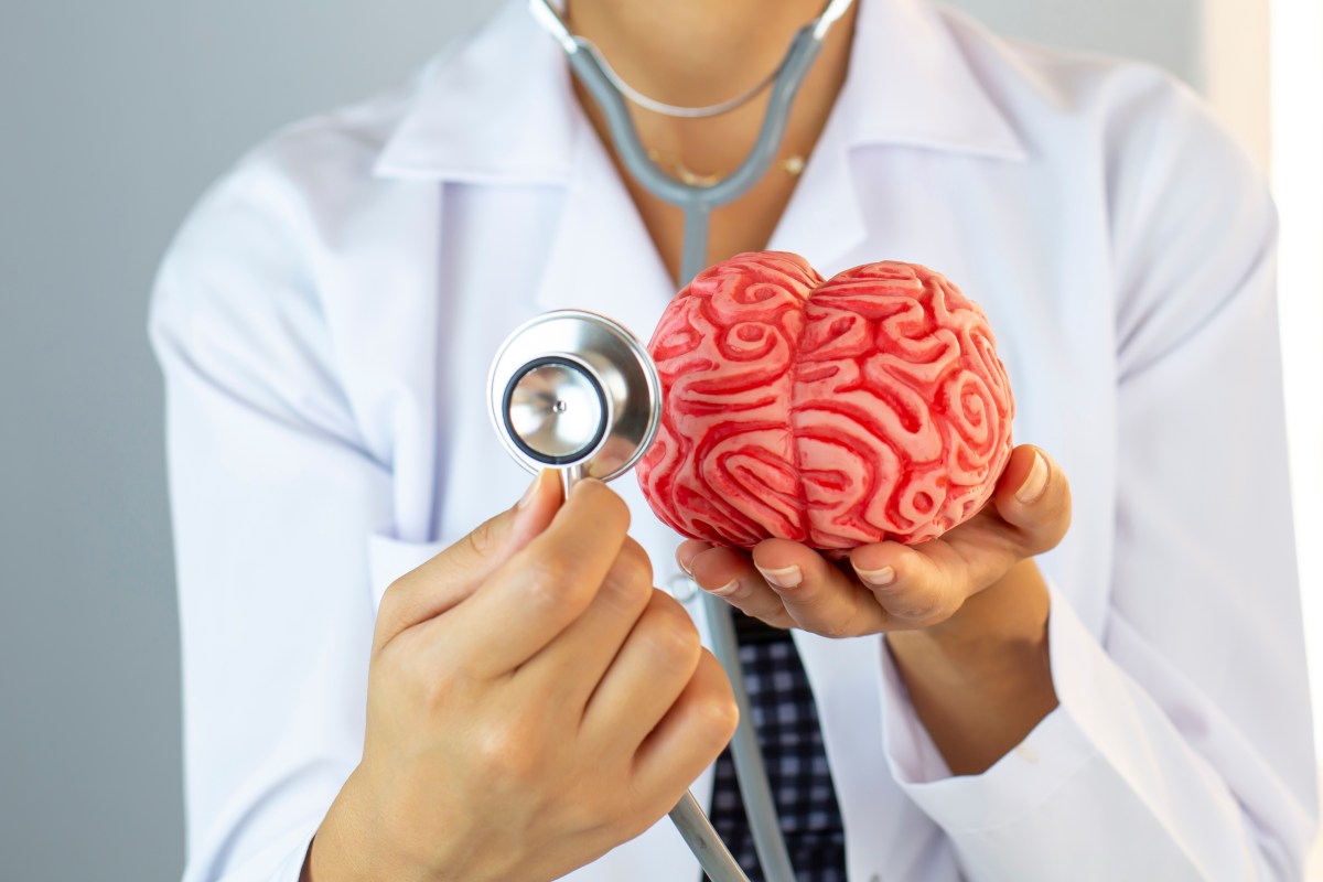 El Higado Crece El Cerebro Envejece