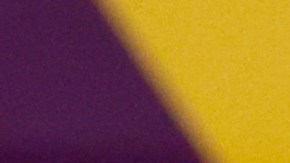 Louise Van Gaal, entrenador de la Selección de Países Bajos en el Mundial Qatar 2022.