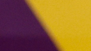 Louise Van Gaal, entrenador de la Selección de Países Bajos en el Mundial Qatar 2022.