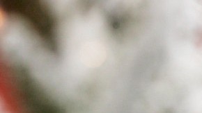 Imagen de un Santa Claus de Coca Cola impreso en un camión de color rojo y entre ramas nevadas.