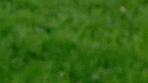 Harry Kane sumó su primer gol del Mundial de Qatar 2022.