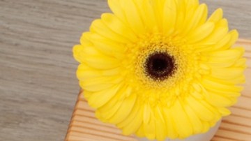 Comer un gran desayuno no acelera el metabolismo: qué debes saber