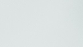 cuidado de las mascotas en la nieve