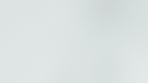 cuidado de las mascotas en la nieve