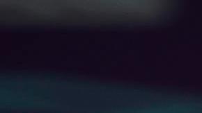 El entrenador no pudo darle la Copa del Mundo a Brasil.