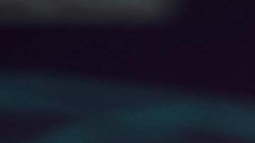 El entrenador no pudo darle la Copa del Mundo a Brasil.