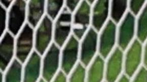 El Dibu Martínez paró dos penales.