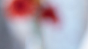 Aumentan hospitalizaciones por el peor brote de gripe en más de 10 años en EE. UU