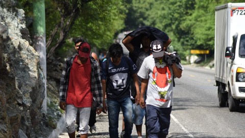 migrantes