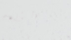 perdonar ayuda a la salud