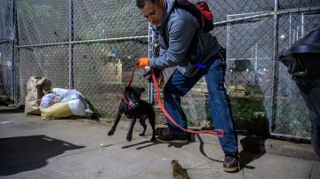 Imagen de una persona que detiene a su perro con una correa, mientras hay una rata frente a ellos.