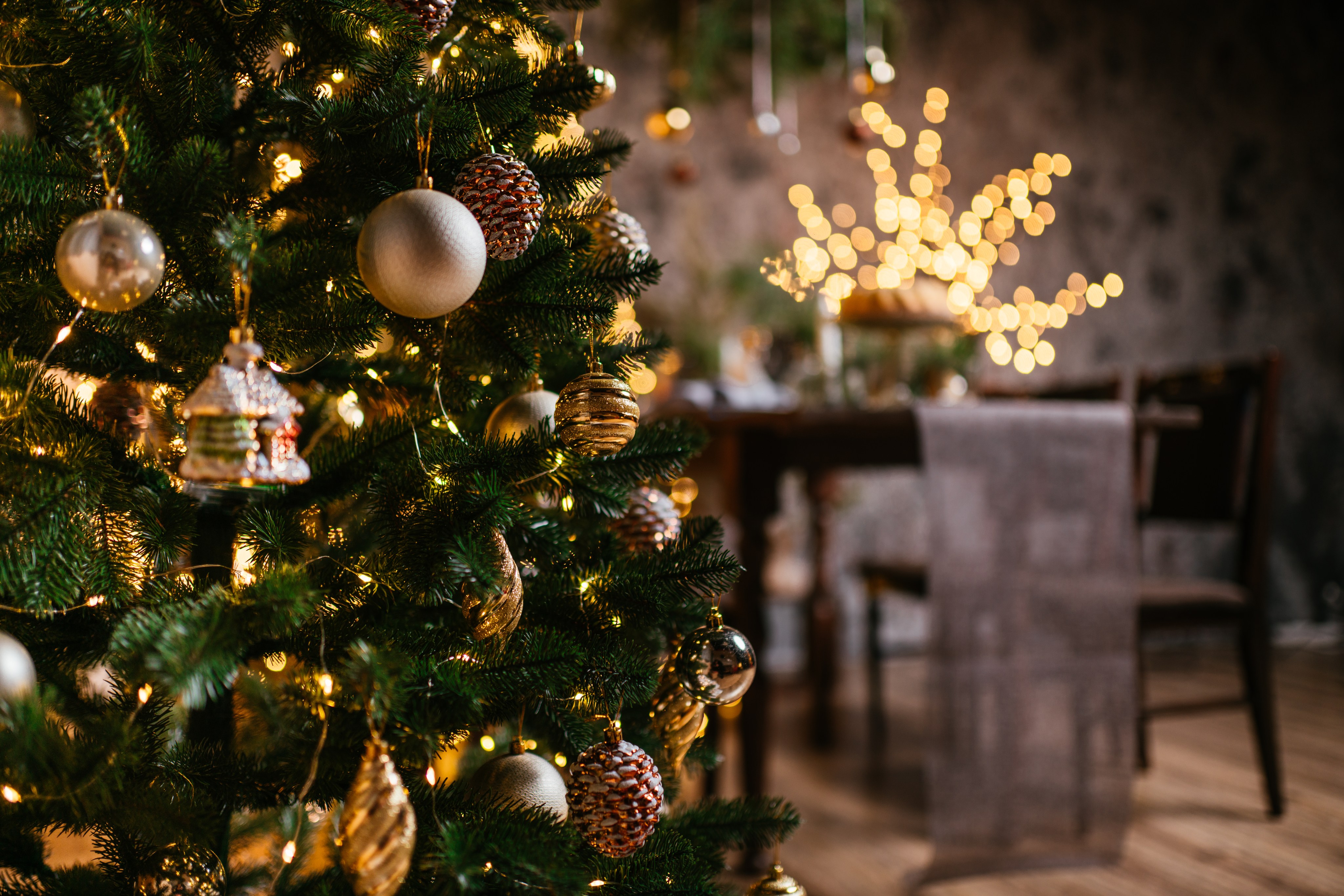 Expertos dicen cuando es conveniente quitar tu árbol de Navidad – Telemundo  Houston
