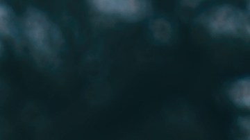 Aprende cómo cubrir el espacio ocasionado por una ventanilla rota