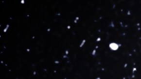 Efectos invierno signos zodiacales