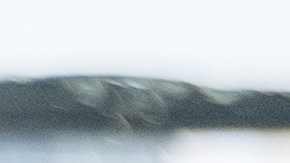 síndrome de la persona rígida