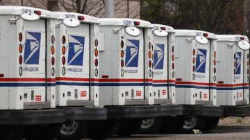 Imagen de una flota de camiones de color blanco con detalles en azul y rojo del Servicio Postal de Estados Unidos.