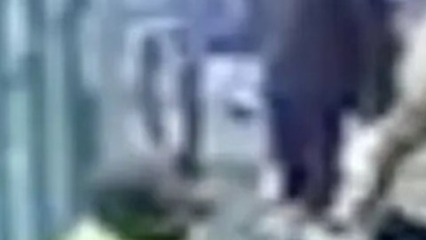 Video muestra a mujer empujando a un niña de 3 años de cabeza en las vías del tren en Oregon