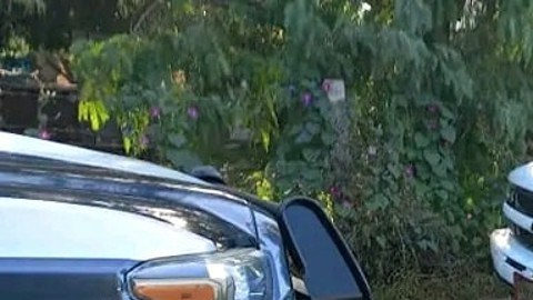violencia en guanajuato