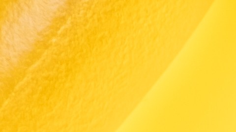 vitamina D en invierno