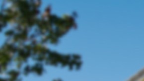 Imagen de una casa que tiene un letrero de venta en el jardín delantero.