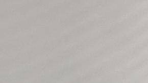 Lionel Messi anotó un gol.