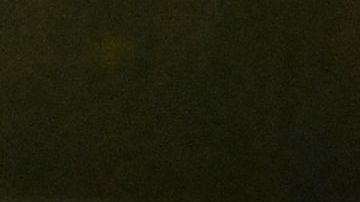 10 personas quedaron heridas y ensangrentadas en el pavimento, luego de tiroteo en Miami durante la filmación de un video para un rapero