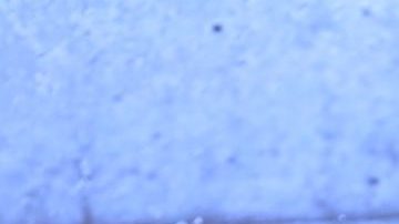 Galilea Montijo posa en Playboy a sus 49 años.