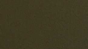 Bárabara de Regil presume sus exigentes entrenamientos en bikini.