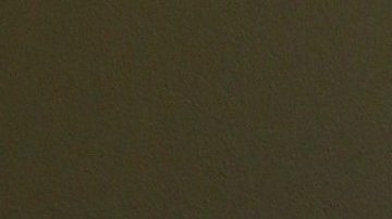 Bárabara de Regil presume sus exigentes entrenamientos en bikini.