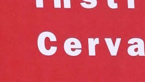 Eugenio Derbez reacciona a grosería de Bad Bunny | Mezcalent.