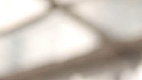 Guillermo del Toro es nominado de nuevo a los BAFTA | Mezcalent.