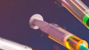 Covid-19: qué se sabe de XBB.1.5, la subvariante de coronavirus que se propaga rápidamente en EE.UU.