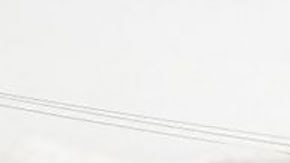 Qué es "la toma de Lima" y cuáles son sus objetivos