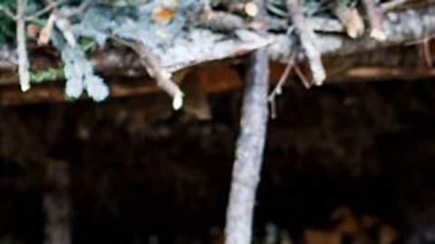 El joven que vive escondido en un bosque siberiano para huir del reclutamiento de Putin
