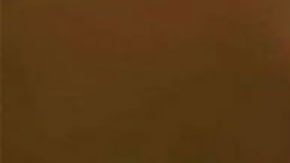 Investigación de la BBC: las extremas prácticas del crimen organizado para lucrarse de la crianza de perros “hiperdesarrollados"