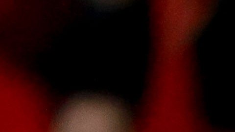 Lionel Scaloni durante un homenaje del Mallorca en España.