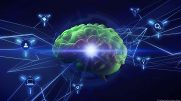 Estudios proponen que el cerebro humano podría funcionar como un ordenador cuántico