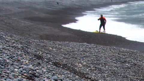 Honduras declara emergencia sanitaria por influenza aviar