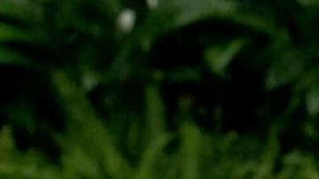 China insta a la OMS a ser "imparcial" tras crítica sobre sus datos de COVID-19