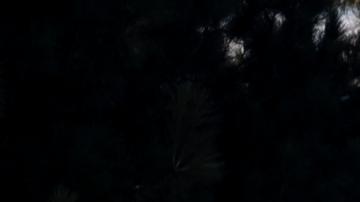 Varios muertos y heridos por explosión en el aeropuerto militar de Kabul