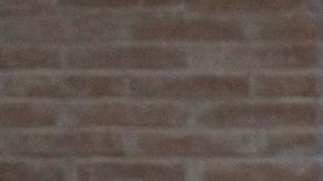 Primeras imágenes de la capilla ardiente de Benedicto XVI