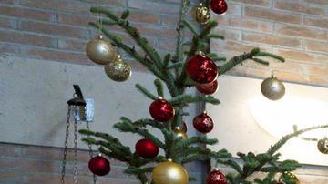 Abre la capilla ardiente de Benedicto XVI en la basílica de San Pedro