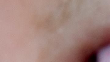 La UE autoriza dos insectos para consumo humano, pero advierten que nadie se verá obligado a comerlos