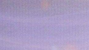 Natalia Tellez defiende a Mon Laferte | Mezcalent.