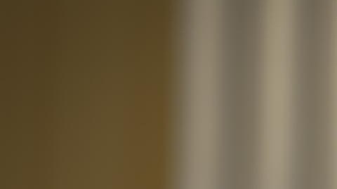 Continúan saliendo a la luz varias controversias surgidas de cara a las pasadas elecciones presidenciales